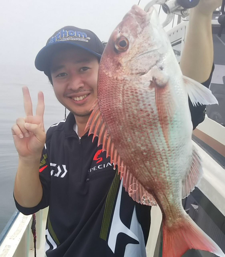 マダイの釣果