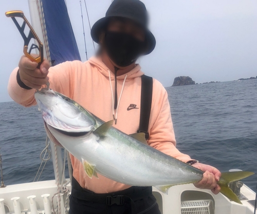 ワラサの釣果