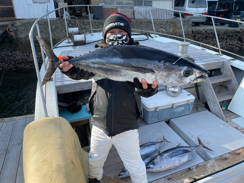 ビンチョウマグロの釣果