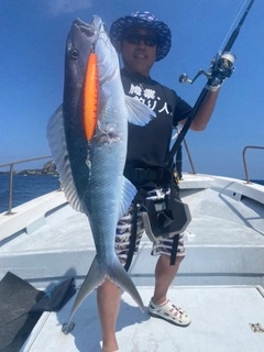 アオチビキの釣果