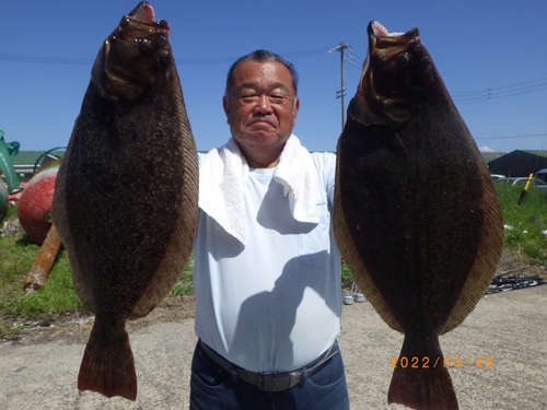 ヒラメの釣果