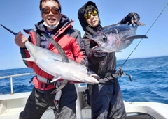 ビンチョウマグロの釣果