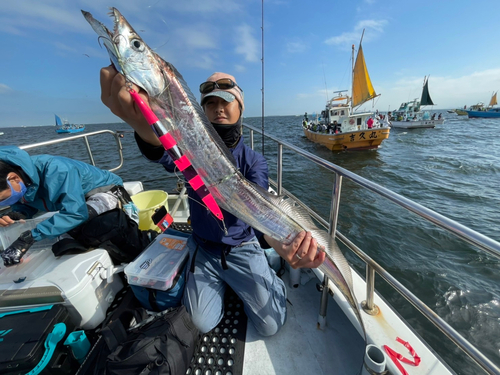 タチウオの釣果