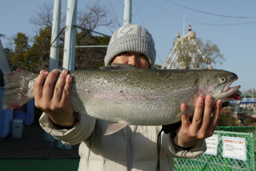 ニジマスの釣果