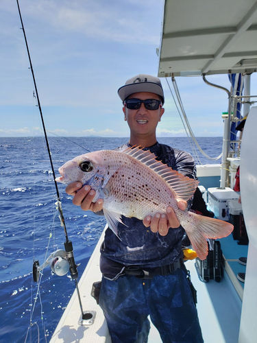 シロダイの釣果