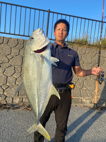 オニヒラアジの釣果