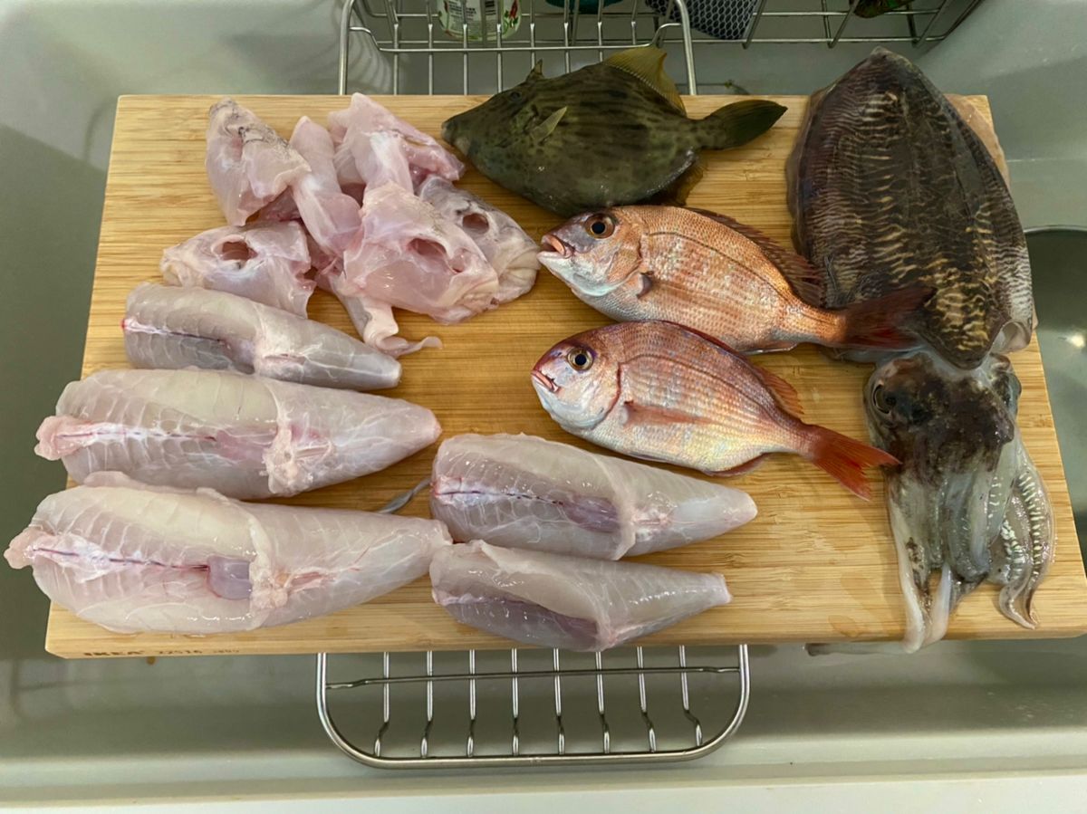 たけまるすいさんさんの釣果 3枚目の画像