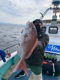 タイの釣果