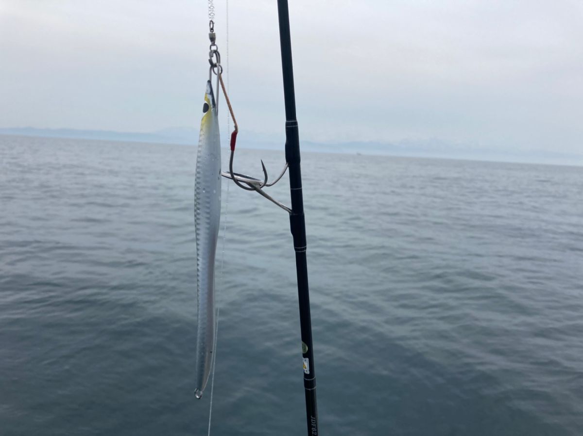 YSNO@ボートフィッシングイズグッドさんの釣果 3枚目の画像