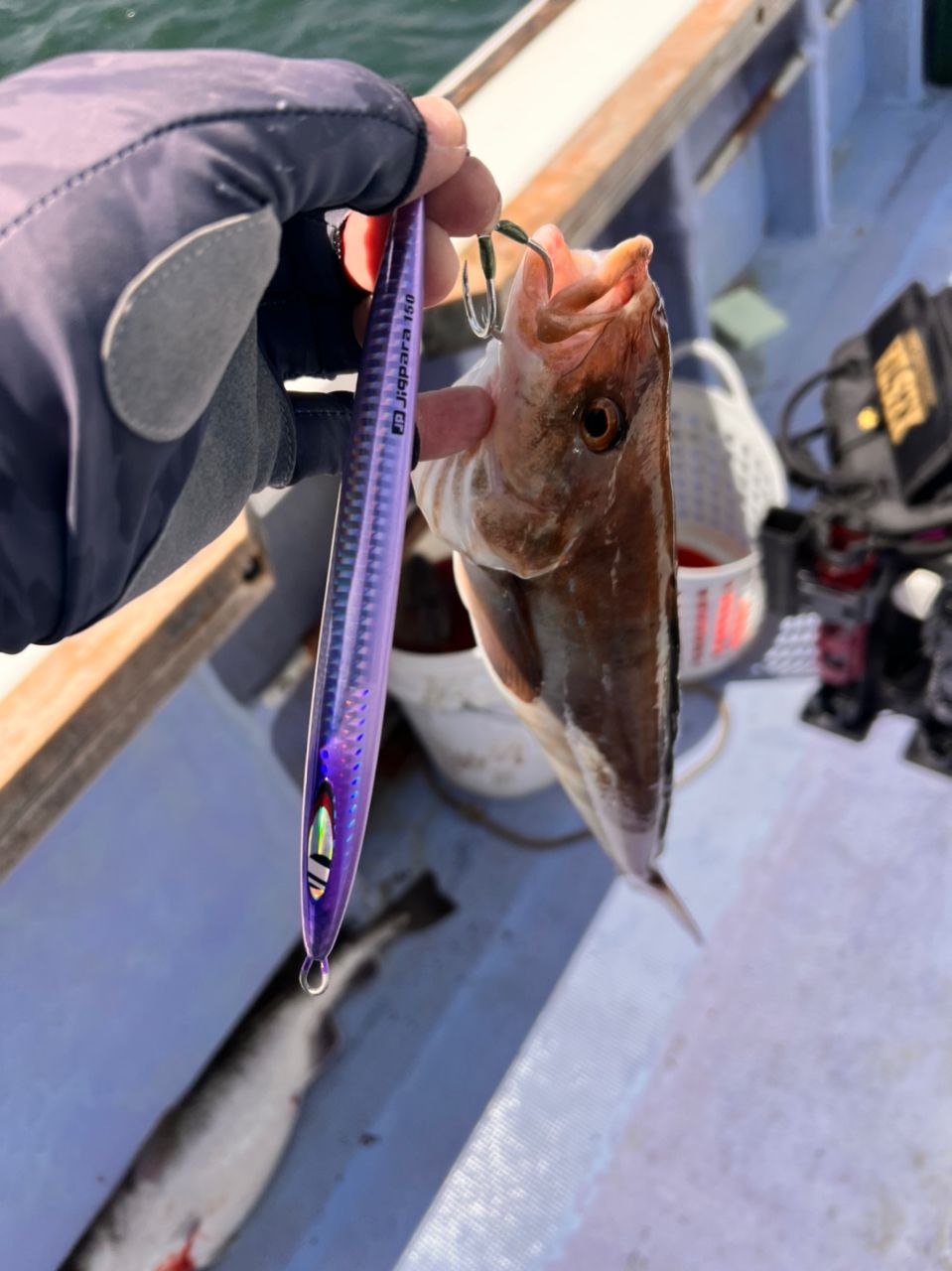 ホロケウカムイさんの釣果 3枚目の画像