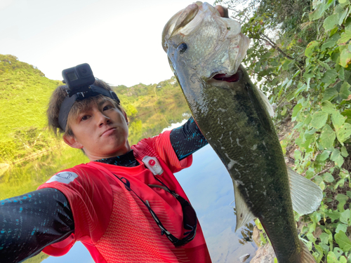 ブラックバスの釣果