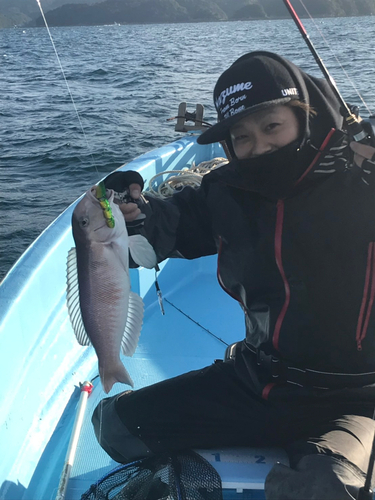 シロアマダイの釣果