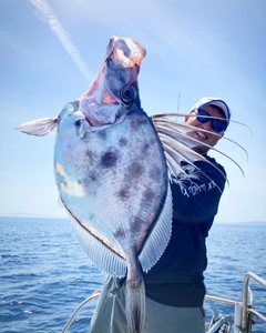 カガミダイの釣果