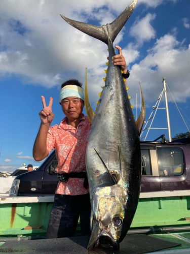 キハダマグロの釣果