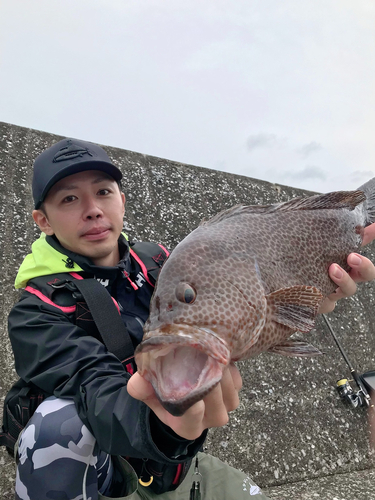 オオモンハタの釣果