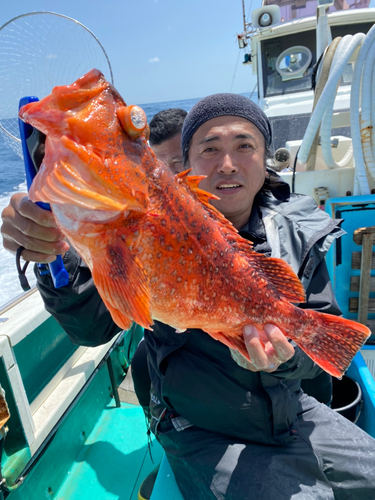 ウッカリカサゴの釣果