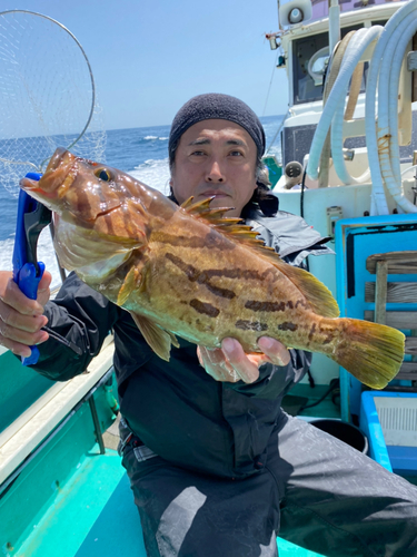 ホウキハタの釣果