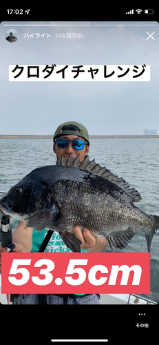 クロダイの釣果