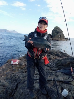クロの釣果