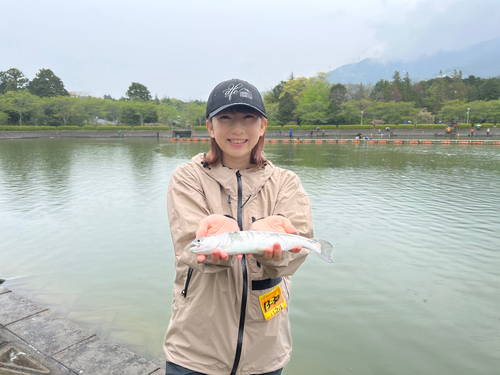 ニジマスの釣果