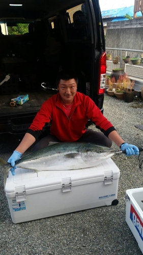 ヒラマサの釣果