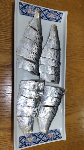 イナダの釣果