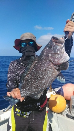 ツチホゼリの釣果