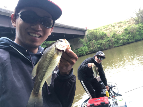 ブラックバスの釣果