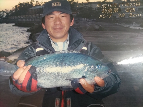 メジナの釣果