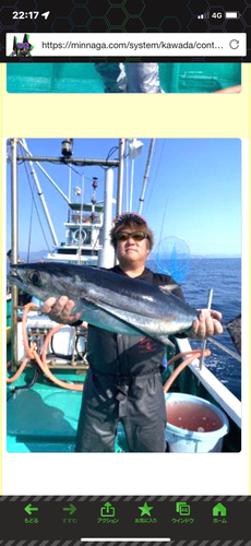 ビンチョウマグロの釣果