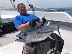 キハダマグロの釣果