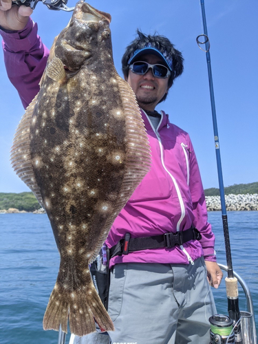 ヒラメの釣果