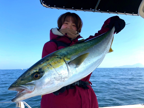 ブリの釣果