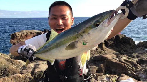 メジロの釣果