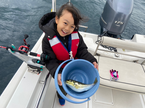 シロサバフグの釣果