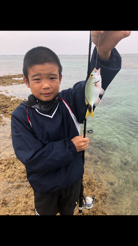 カニの釣果