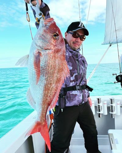 タイの釣果