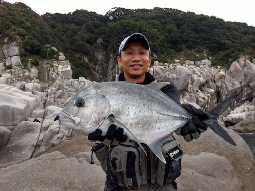 メッキの釣果