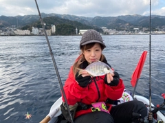 カイワリの釣果