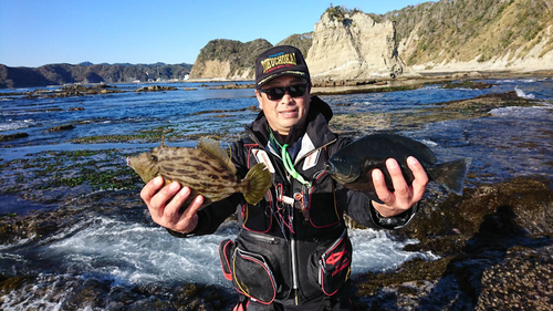 カワハギの釣果