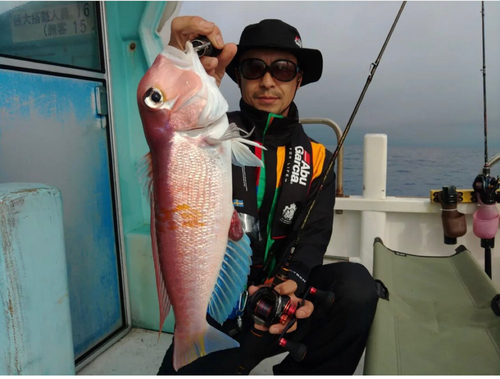 メダイの釣果