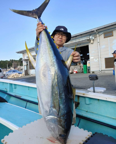 キハダマグロの釣果