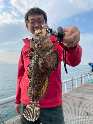 オニオコゼの釣果