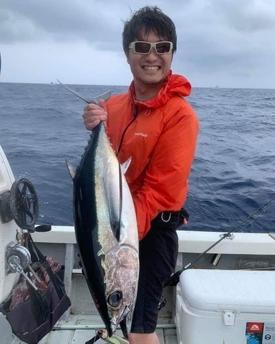 ビンチョウマグロの釣果