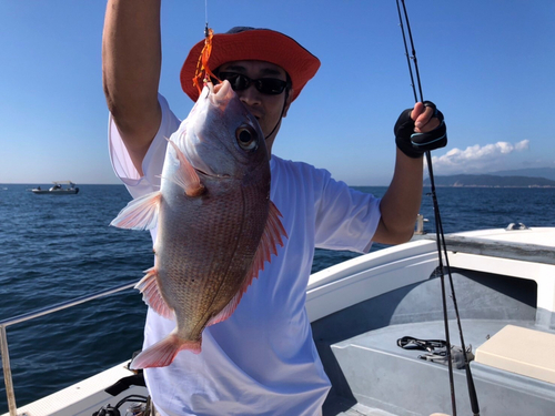 マダイの釣果