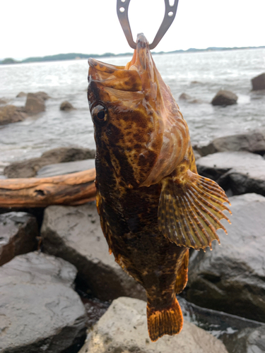 釣果