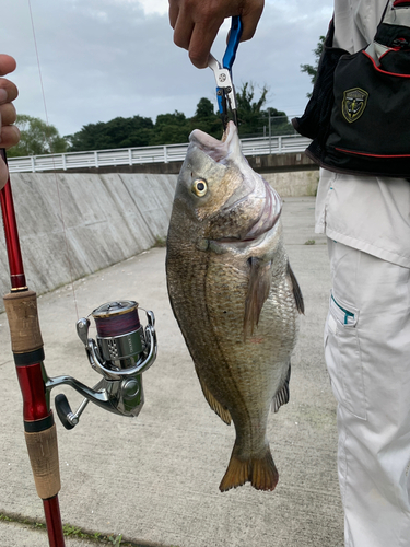 釣果