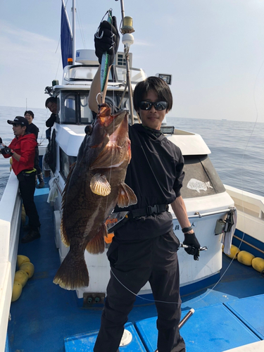 ホウキハタの釣果