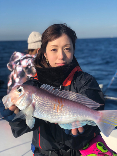 アマダイの釣果