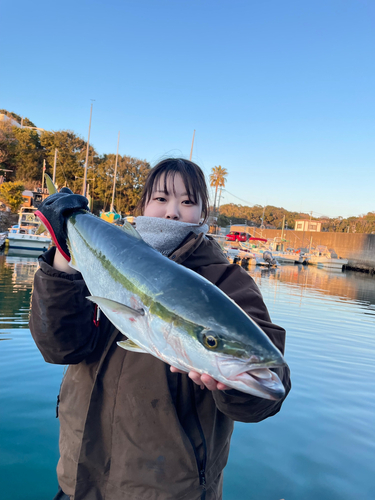 イナダの釣果